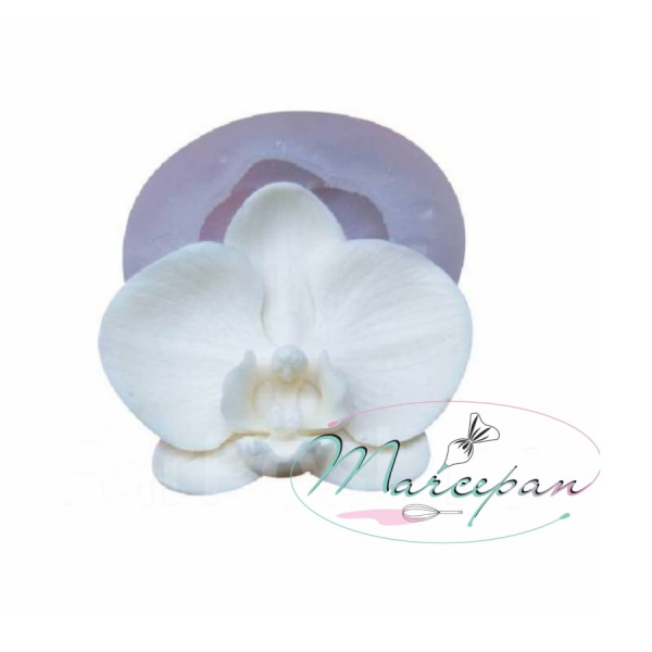 Цветок №23 "Орхидея фаленопсис".